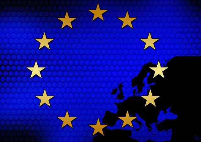 Review of EU free movement law developments