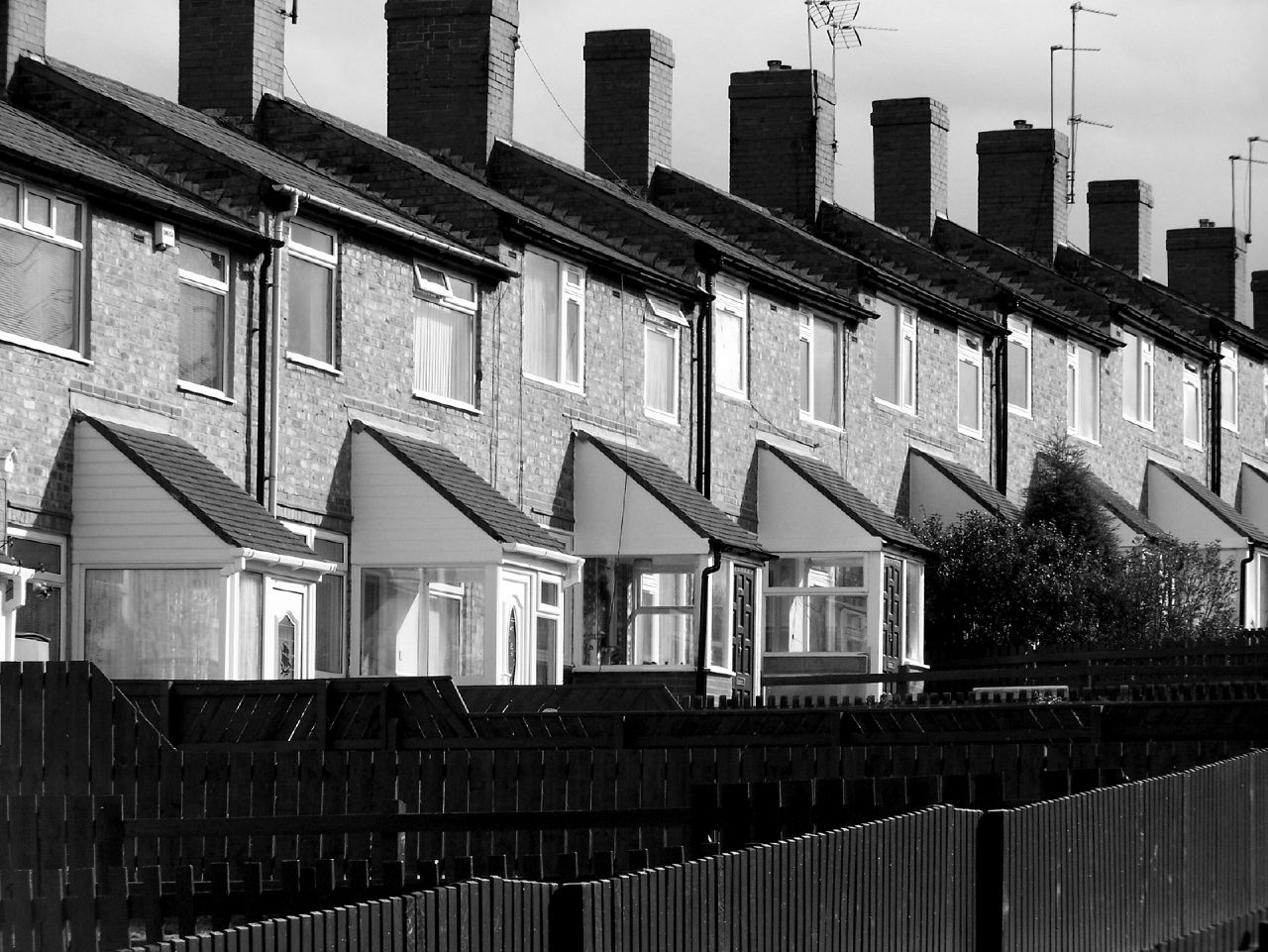 Right to rent comes into force today