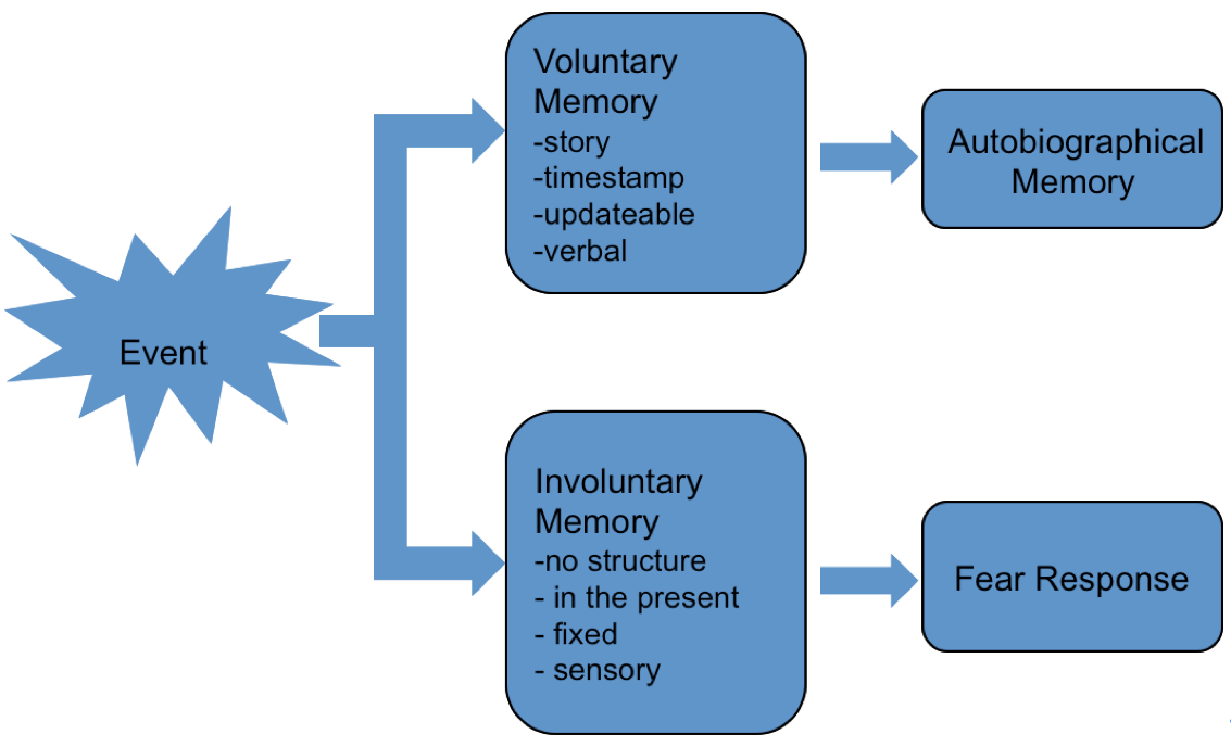 How Trauma impacts memory  Continuum Consulting