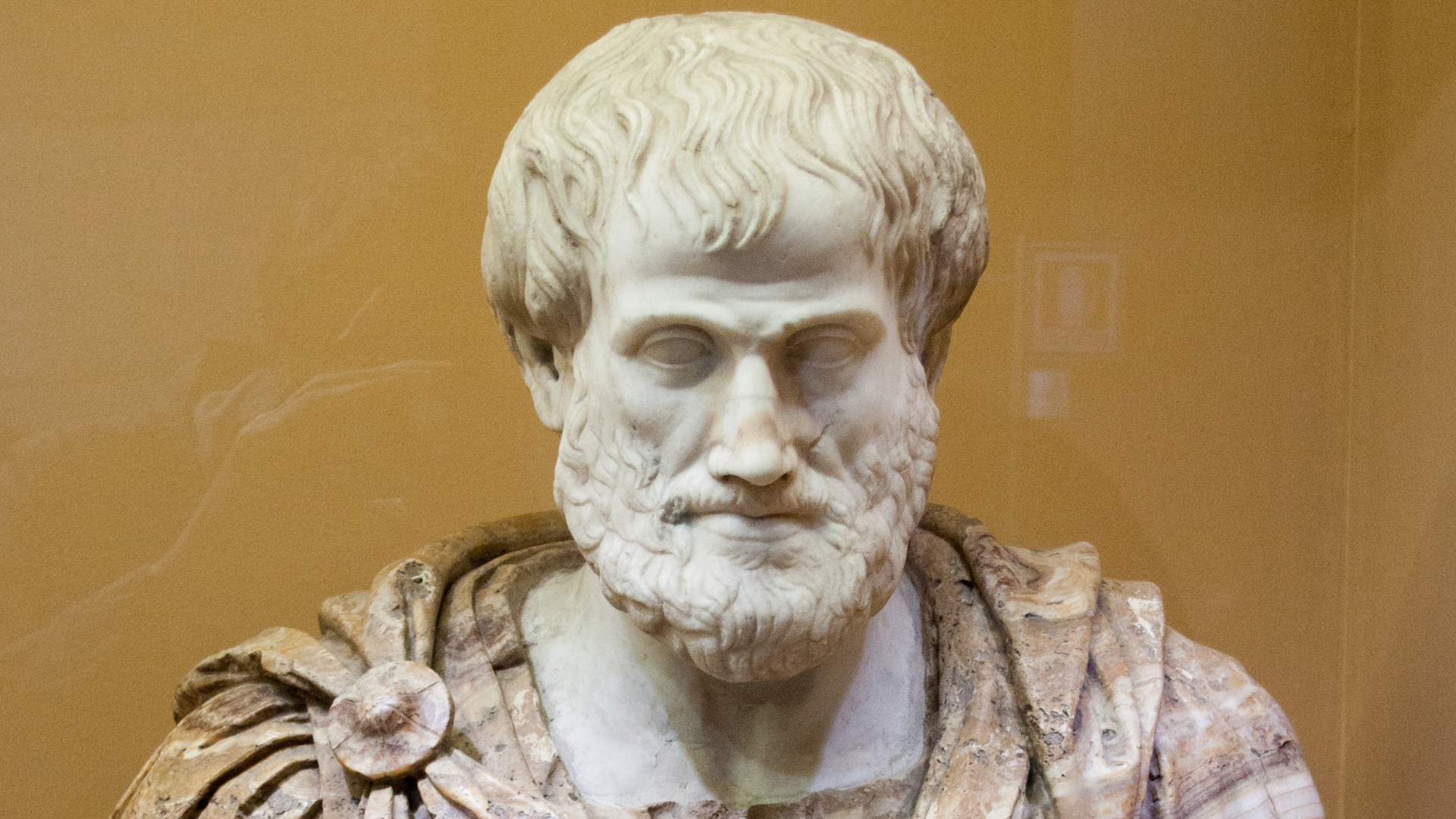 Аристотель портрет. Аристотель портрет. Аристотель егэ. Аристотель древнегреческий философ. ).