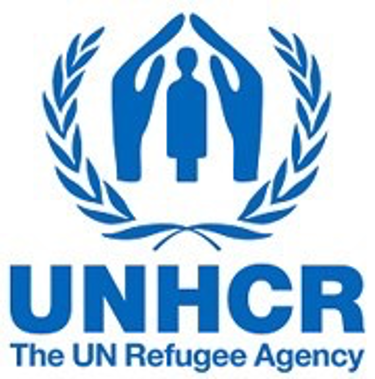 UNHCR publishes recommendations on the Illegal Migration Act