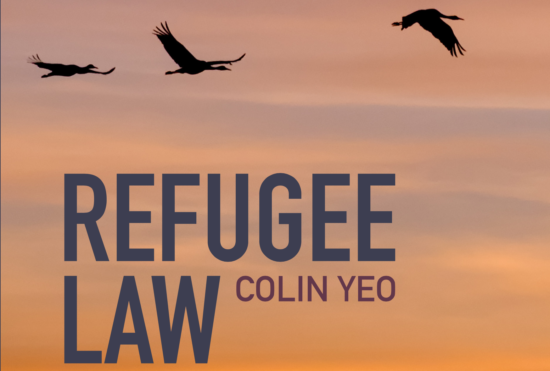 Colin’s refugee law textbook is published today