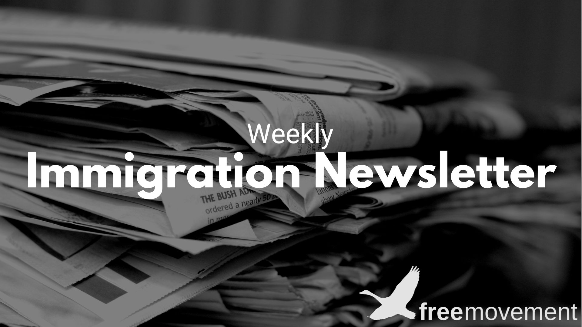 Free Movement Weekly Newsletter #27