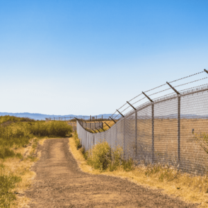 Webinar replay: Dangerous journeys: applying for predetermination and biometric excuses