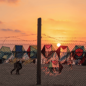 Webinar: Gaza cases: legal and practical considerations in entry clearance applications and appeals
