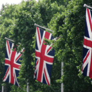 Webinar replay: Demystifying section 4L of the British Nationality Act 1981