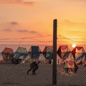 Webinar Replay: Gaza cases: legal and practical considerations in entry clearance applications and appeals